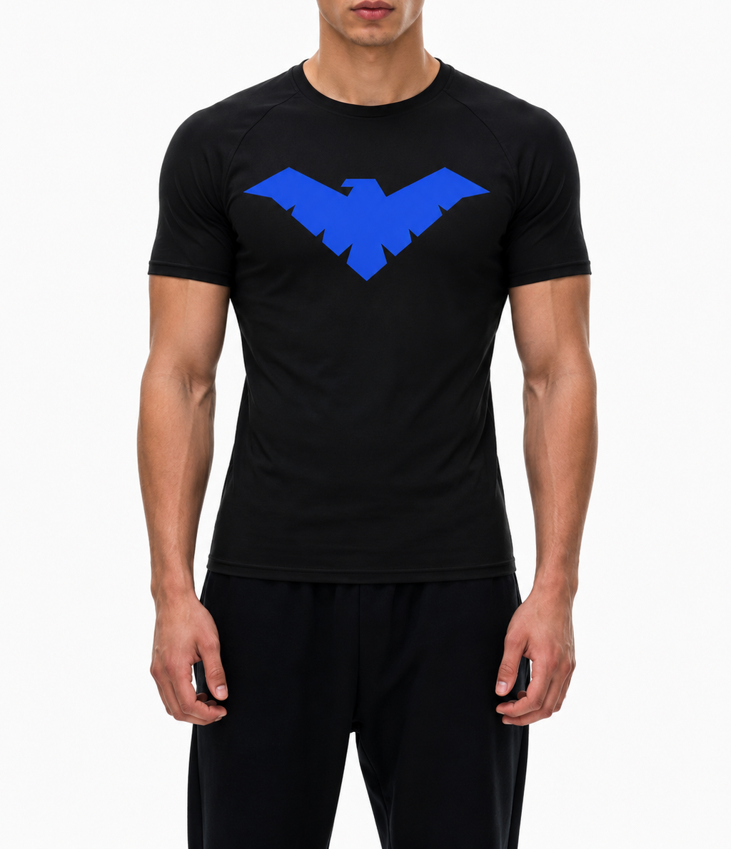 nightwing,dc