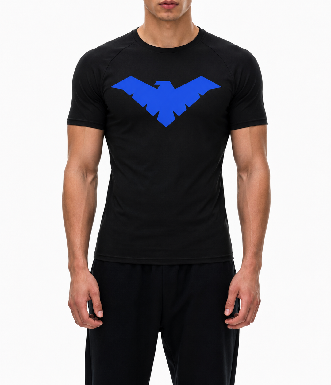 nightwing,dc