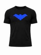 nightwing,dc